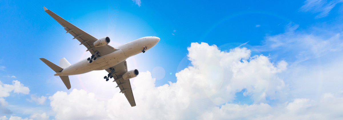 חברות תעופה נוספות שחוזרות לישראל